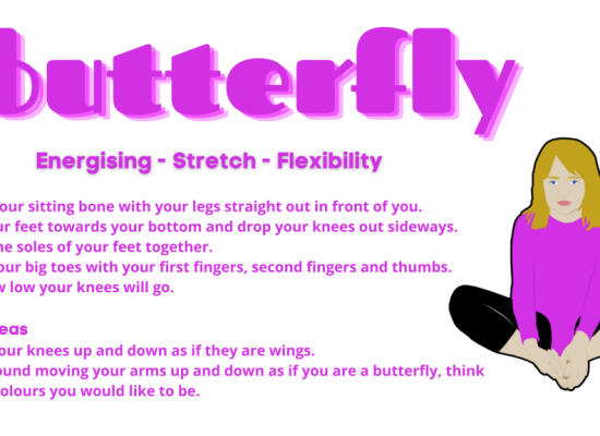 Butterfly