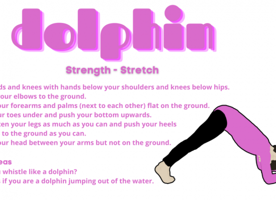 Dolphin