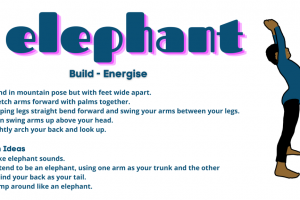 Elephant