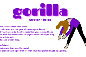 Gorilla