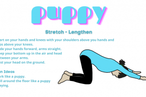 Puppy