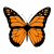 MM Adult led – Nature