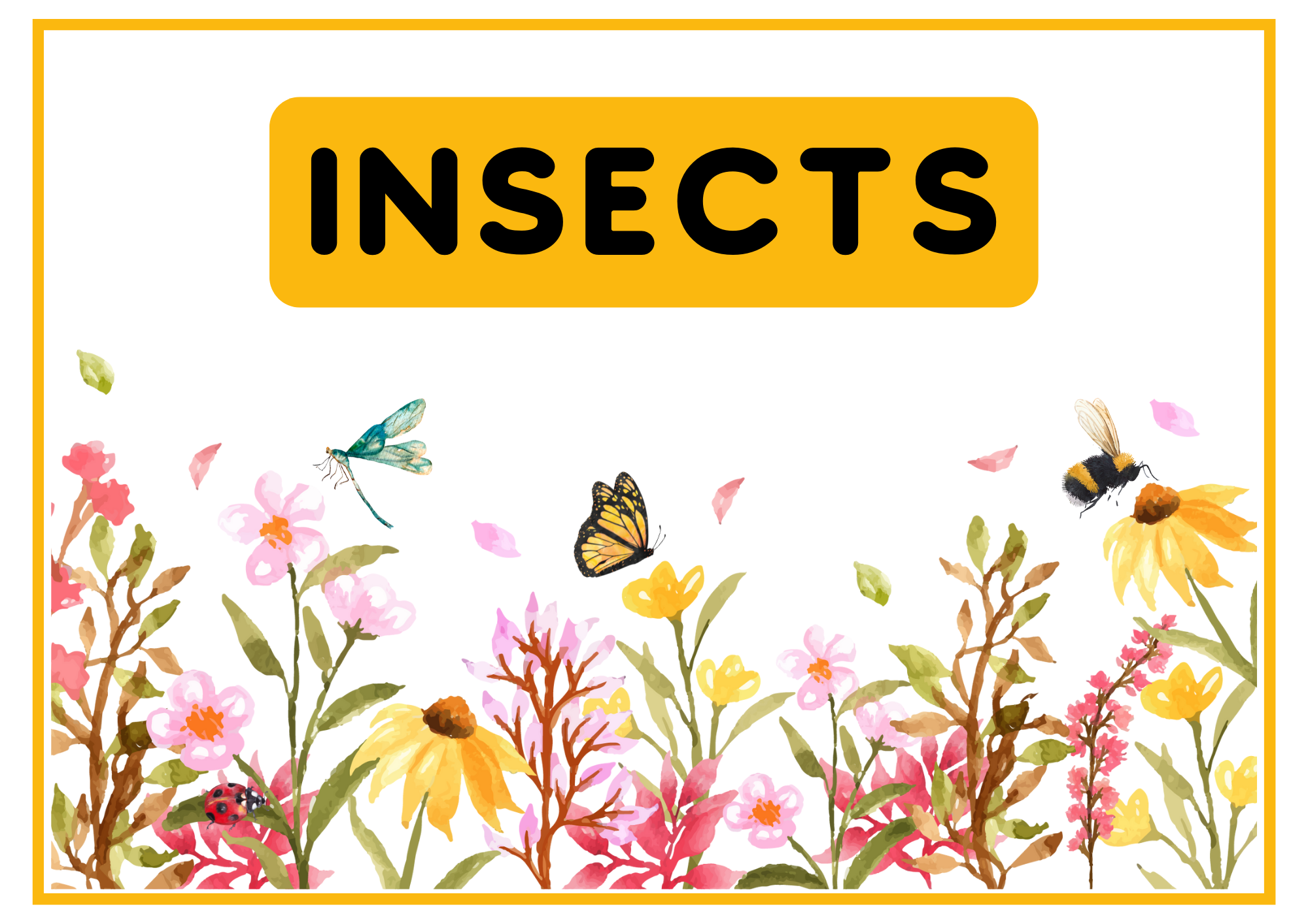 Action Insects