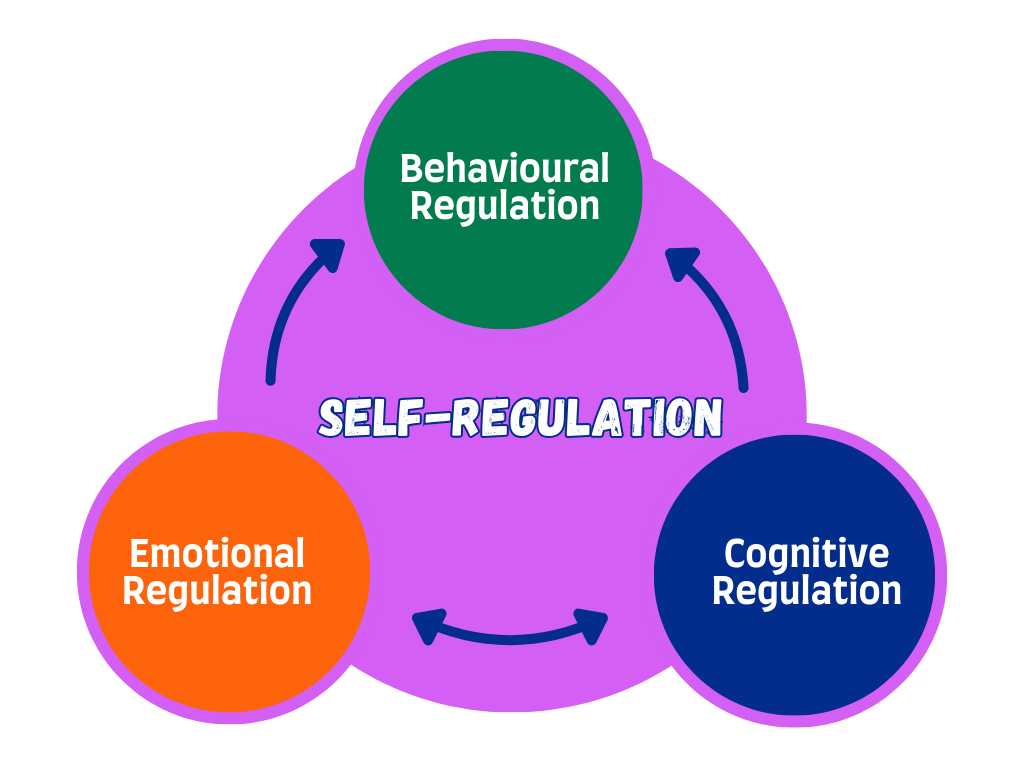 Self-regulation Diagram